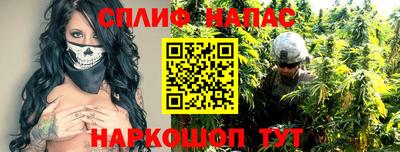 крисы Краснодар