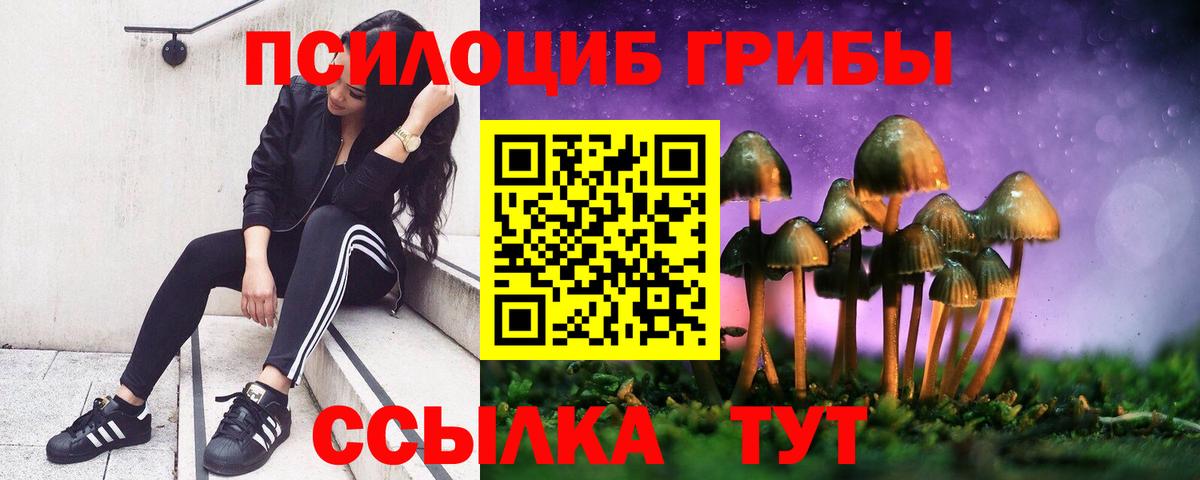 Псилоцибиновые грибы прущие грибы Глазов