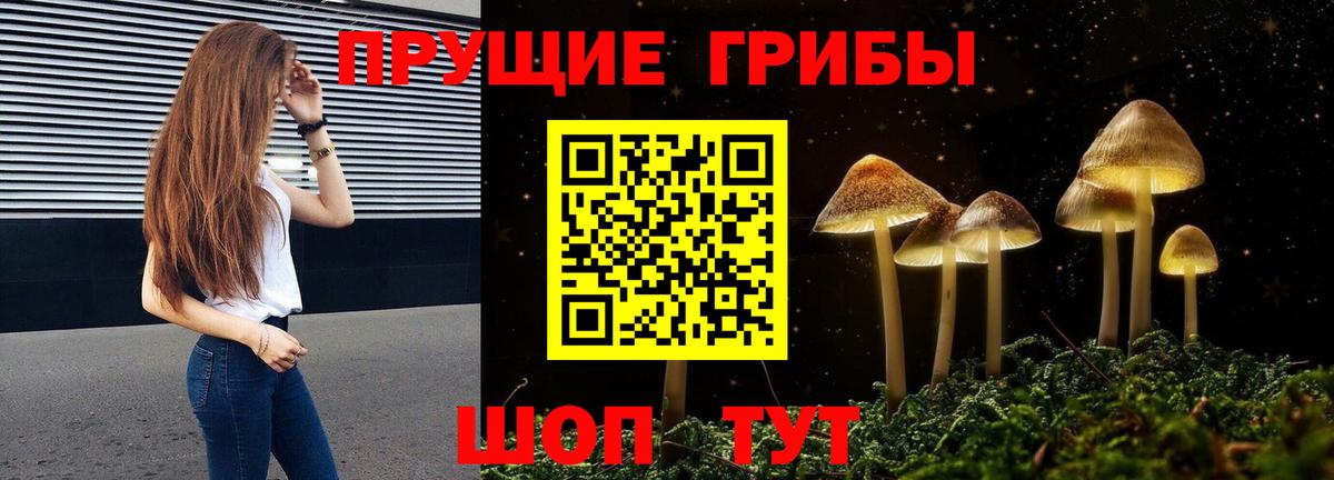 купить наркотики цена  Псилоцибиновые грибы прущие грибы  Галлюциногенные грибы Psilocybe  Вход с VPN  Глазов 